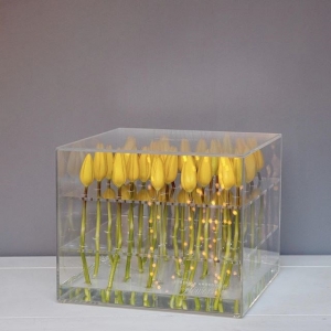 Wholesale防水アクリルの花収納ボックスバラの梱包ボックス 