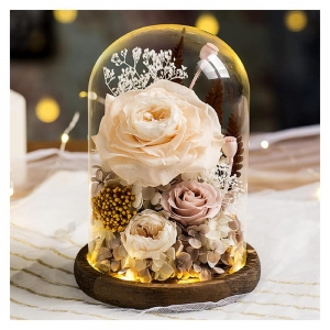 透明なプラスチックドームカバー